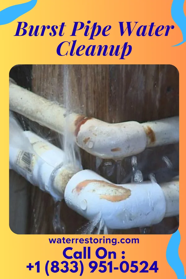 Burst Pipe Water Cleanup in Crown Point, IN