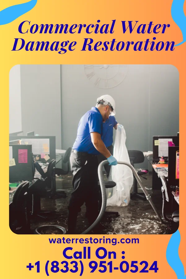 Commercial Water Damage Restoration in Crown Point, IN