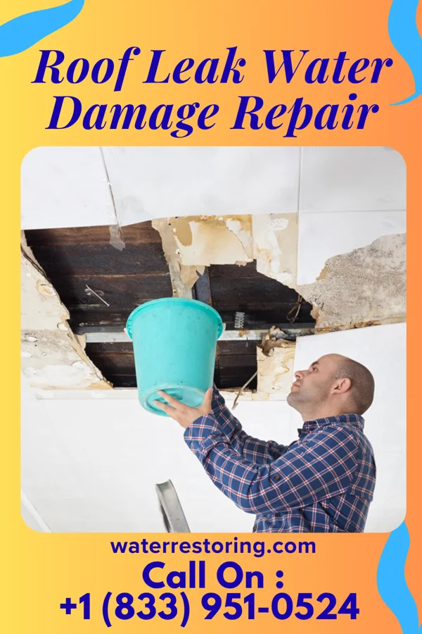 Roof Leak Water Damage Repair in Crown Point, IN